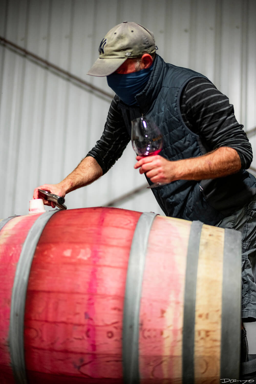 Photos with Communique Wines in McMinville, Oregon, in the Fall of 2020.